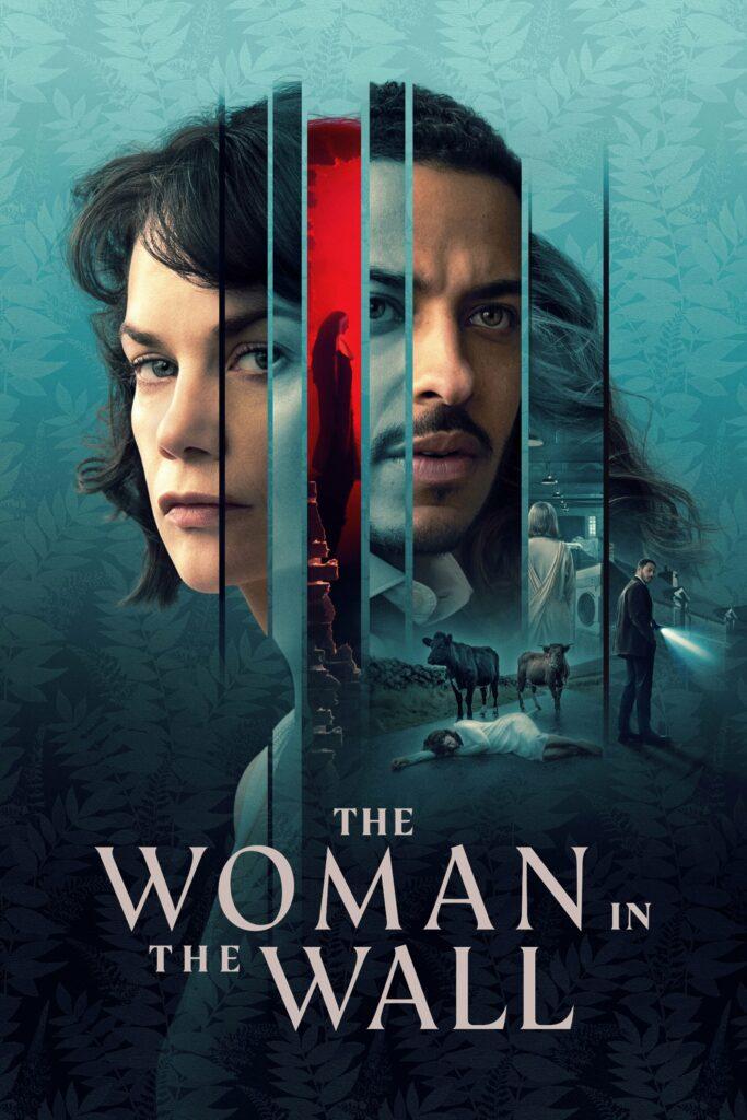 the woman in the wall keyart