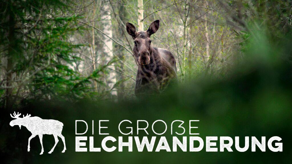 die große elchwanderung keyart