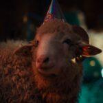 sheep1